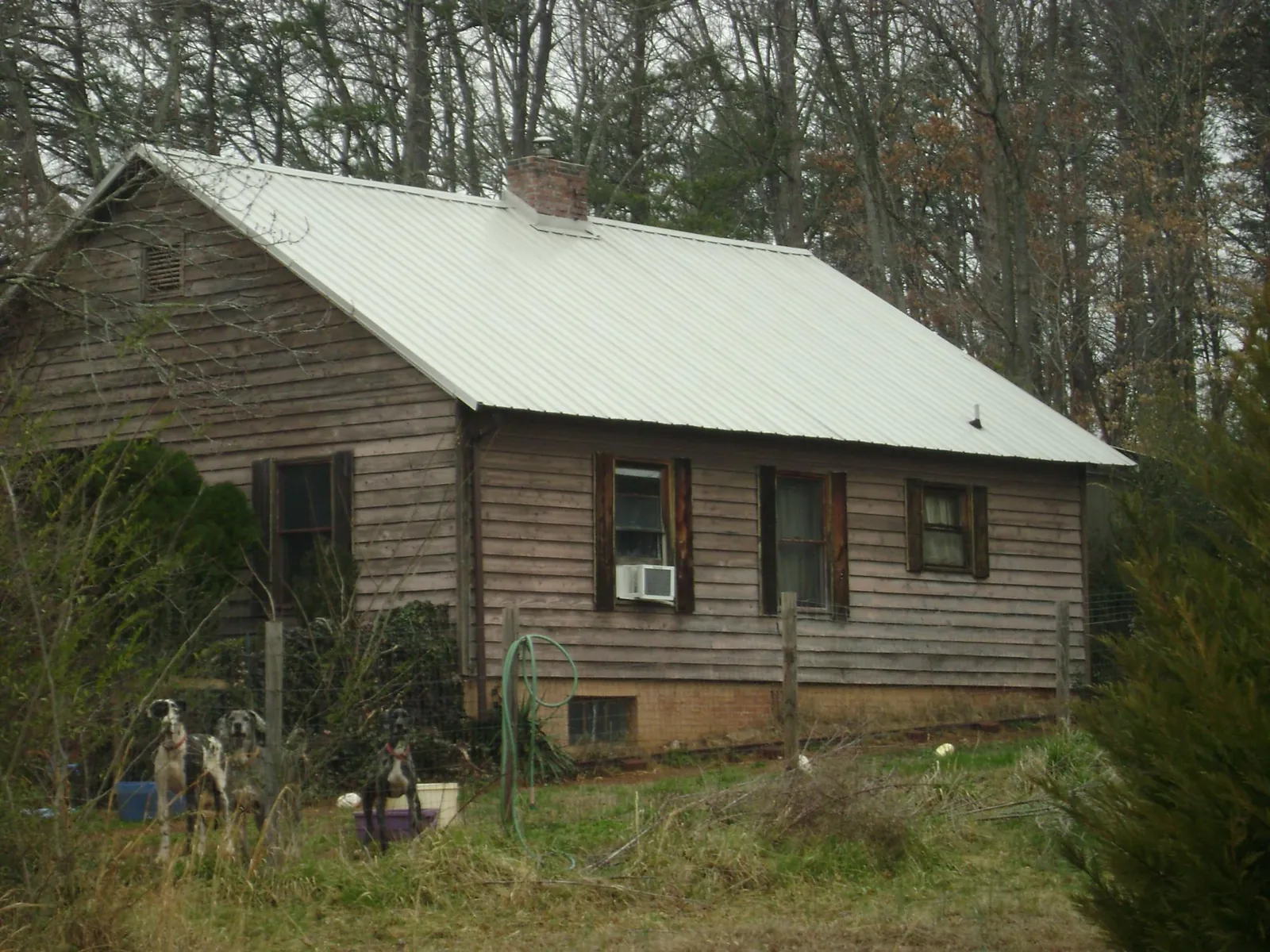 White metal roof on an old wood sided farmhouse, from a Asphalt Shingle Roof Repair job in Minden